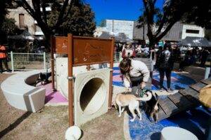El Concejo Municipal analiza instalar dispensadores de bolsas para heces de mascotas en distintas plazas de Rosario.