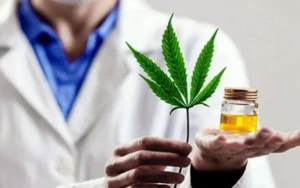 Proponen que farmacias puedan elaborar y dispensar cannabis medicinal