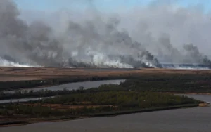 Provincia analizó junto a Nación el riesgo ambiental del Delta del Paraná