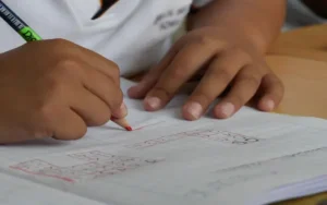 Por los controles, Provincia asegura que las licencias bajaron un 70%