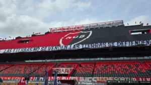 Provincia explicó por qué sacó la bandera sobre la Ley de Tierras de Newell's