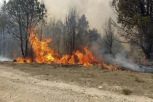 18 provincias en alerta por riesgo de incendios forestales