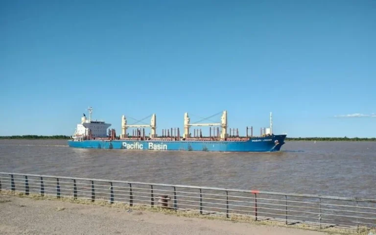 Hidrovía: puertos exigen prorrogar la presentación de ofertas