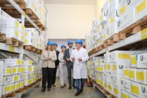 Lif quintuplicará la producción de repelente