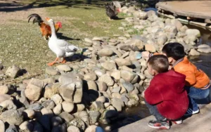 ¿Qué actividades hacer con tus hijos estas vacaciones en Rosario?