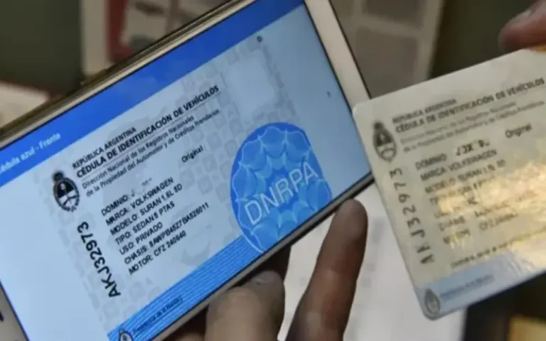Qué trámite reemplaza a la tarjeta azul y permite que otra persona maneje el auto