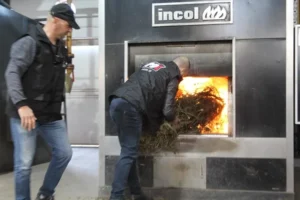 Queman 40 kilos de marihuana y cocaína en la ciudad de Santa Fe