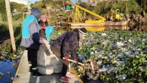 Buscan crear un juzgado municipal para infracciones ambientales