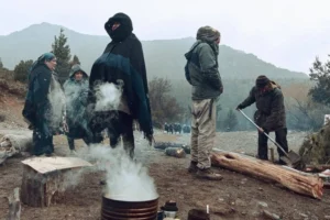 Anulan la cesión de tierras a mapuches