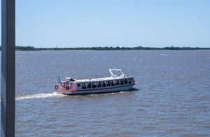 cruces la fluvial