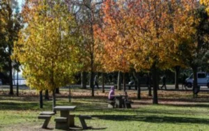 Recorridos guiados en otoño por Rosario