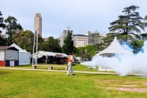 Refuerzan la fumigación en el predio de Colectividades