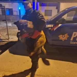 rescate animal en rosario