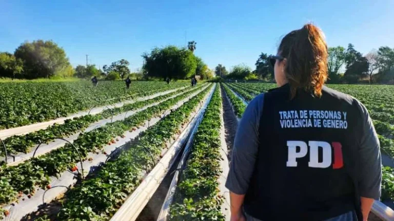Rescataron a personas en situación de explotación laboral en Santa Fe