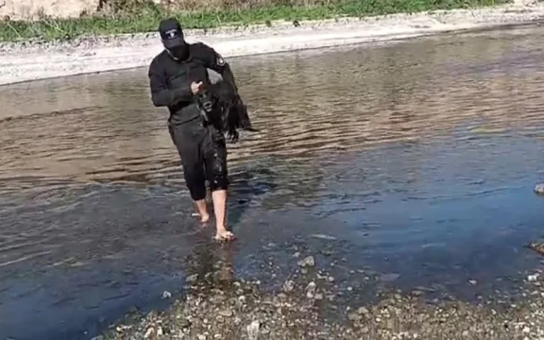 Rescataron a un perro atrapado en la barranca del arroyo Saladillo