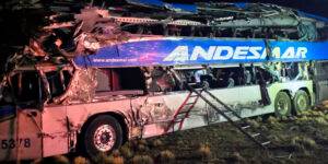 Río Gallegos: cuatro muertos por un choque entre un micro y un camión.