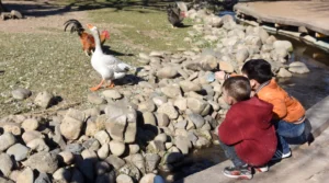 Actividades recreativas en Rosario durante las vacaciones de invierno