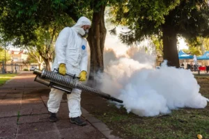 Rosario entró en fase de epidemia por los casos de dengue
