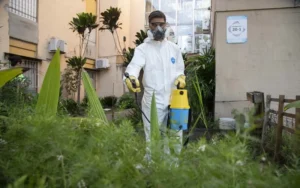 Rosario sigue siendo el epicentro del brote de dengue