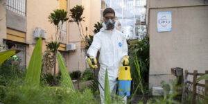 Rosario solo reportó 13 casos de dengue hasta ahora en 2025.