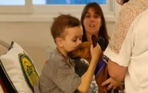 Sanatorio de Niños: primer encuentro entre un paciente y su perrita