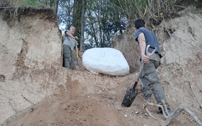Santa Fe: Encontraron restos de un mastodonte en Fighiera