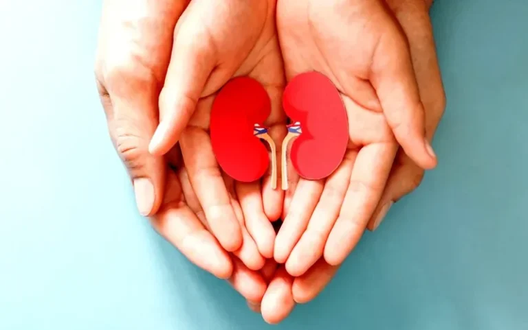 Santa Fe fue la segunda provincia con más donaciones de órganos