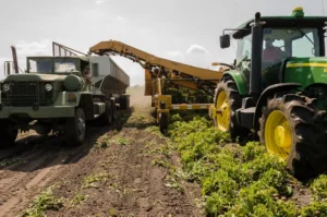 Santa Fe solicita a Nación protección para su industria