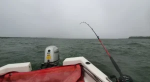 regulan pesca en el Paraná