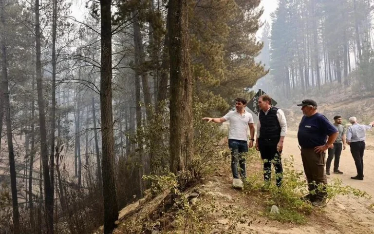Santilli viajó a Chubut y recorrió las zonas de incendios junto al gobernador Torres