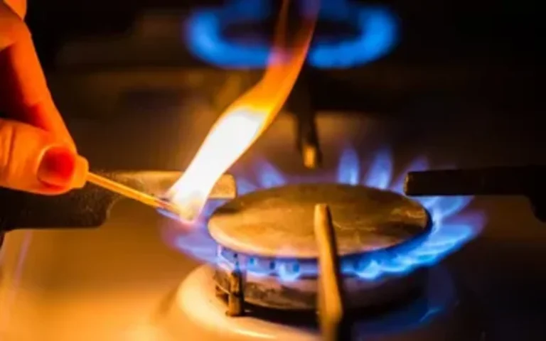 Se fijaron nuevos límites para subsidios energéticos en zonas frías