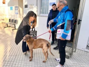 rescate animales Rosario