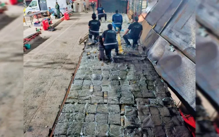 Secuestraron 800 kilos de marihuana en un camión