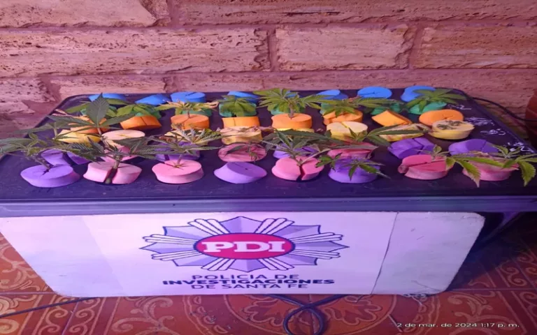 Secuestraron armas y drogas tras un allanamiento 