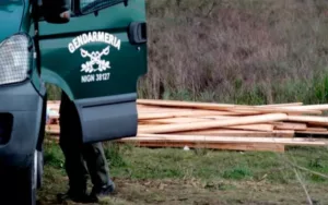 Secuestraron casi 5 mil kilos de marihuana en Misiones