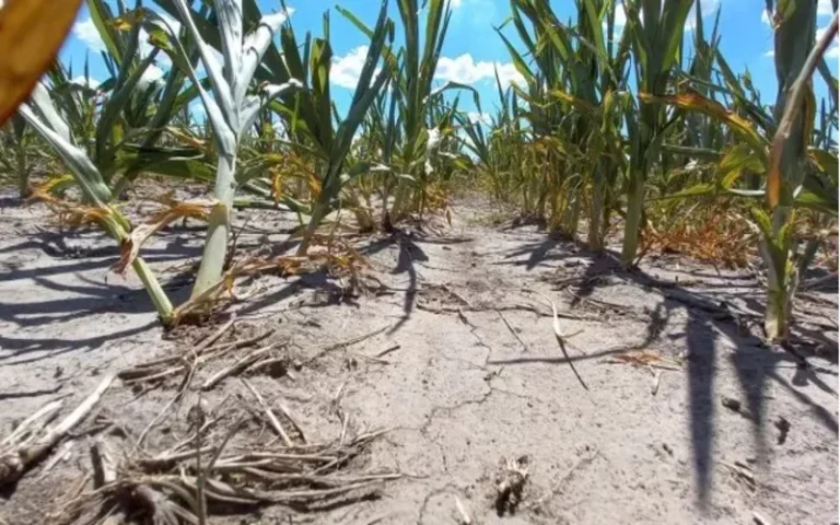 Según el Servicio Meteorológico julio fue el más seco en 35 años