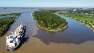 mancha marrón río Paraná