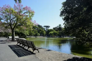 tiempo en rosario ciudad