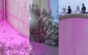 Todo teñido de rosa tras la intervención de los Silos