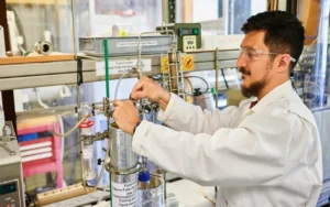 Transforman residuos de yerba mate en bioaceite con valor comercial