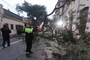 temporal Rosario