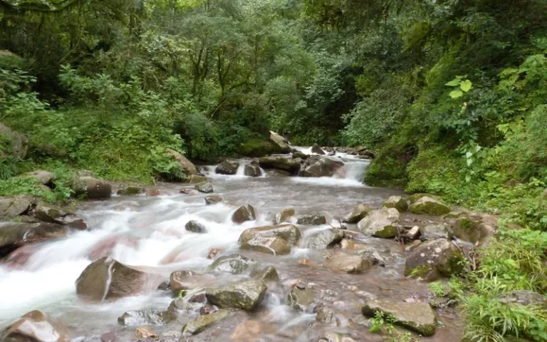 Turismo en Argentina: lugares para pasear y desconectar