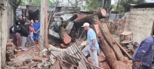 Árbol caído sobre una casa en Villa Banana, Rosario