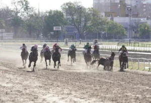 Un caballo corrió a contramano y casi provoca una catástrofe