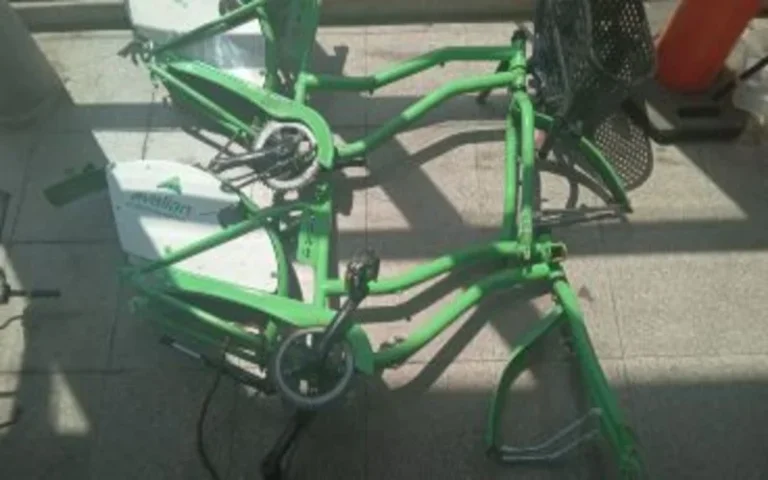 Un detenido con dos bicicletas públicas que habían sido robadas