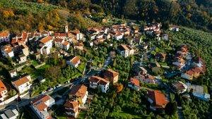 Un pueblo de Italia busca voluntarios para cosechar aceitunas