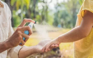 Un repelente casero para enfrentar a los mosquitos