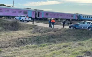 Mar del Plata: un tren arrolló un auto y murió una niña de diez años