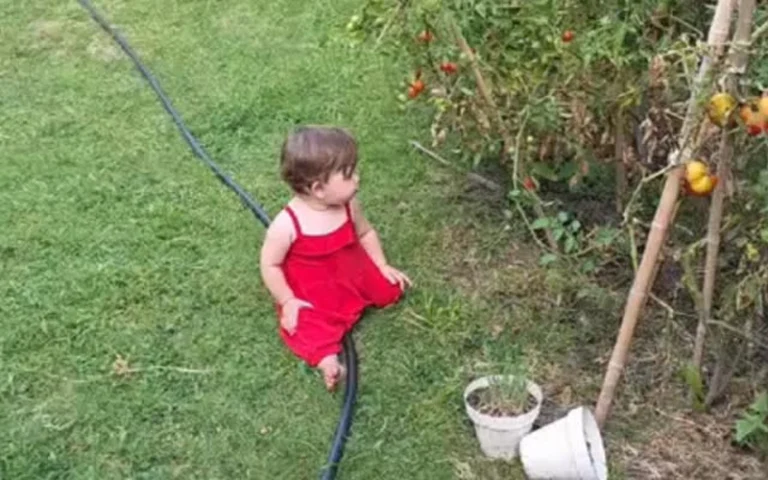Una bebé descubrió la huerta y se volvió fan de los tomates.