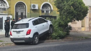 Una conductora se salió del camino y derribó un árbol frente a una casa.